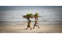 Women from Eukesi near Lautem carry wood home. Photo by UNMIT/Martine Perret